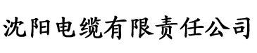 陈法蓉张敏章节目录电缆厂logo